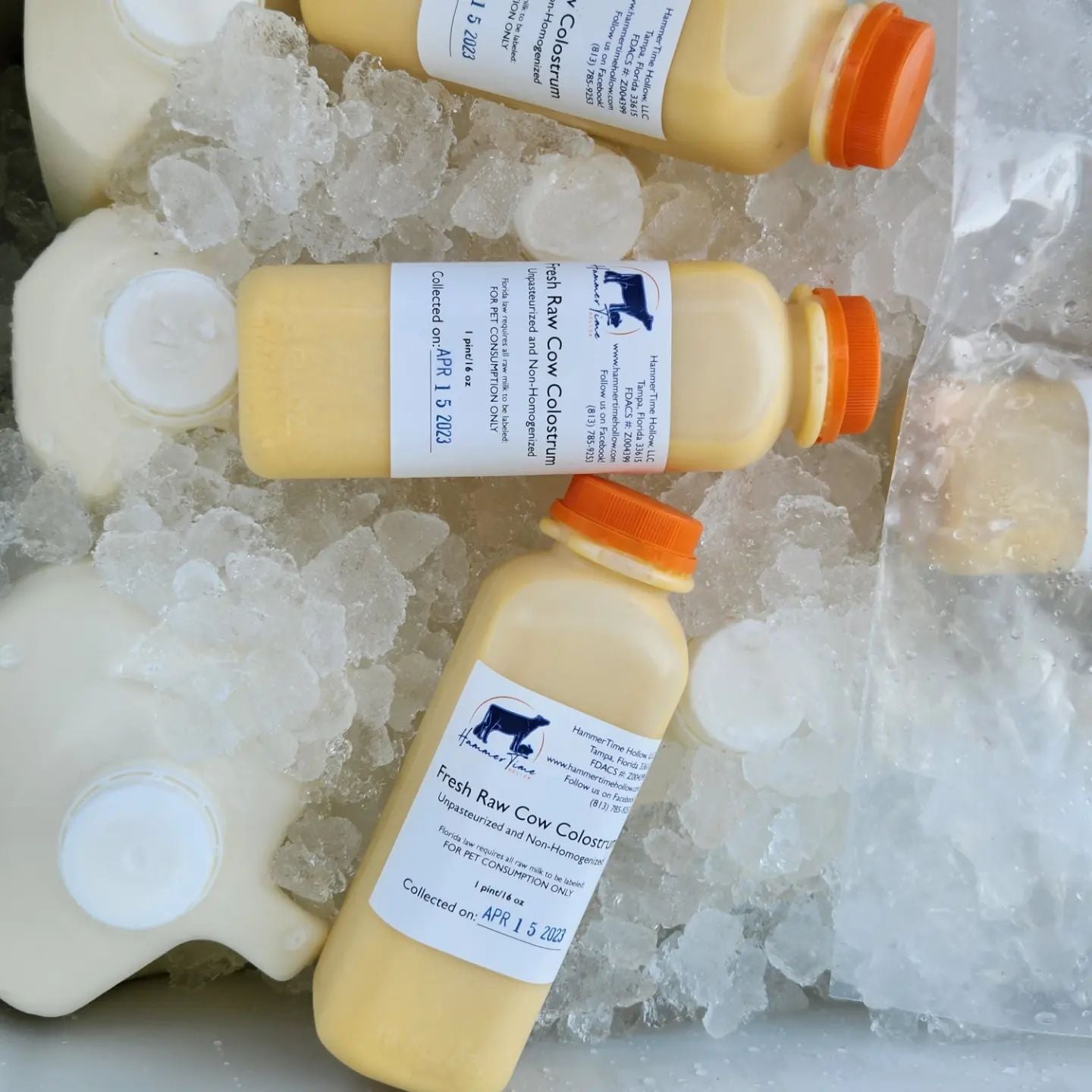 Raw Cow Colostrum - Quart