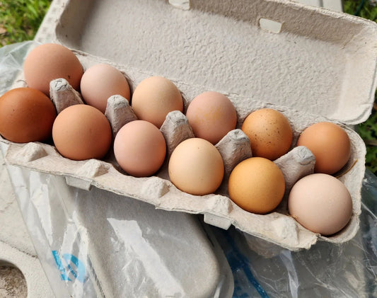 Dozen Chicken Eggs