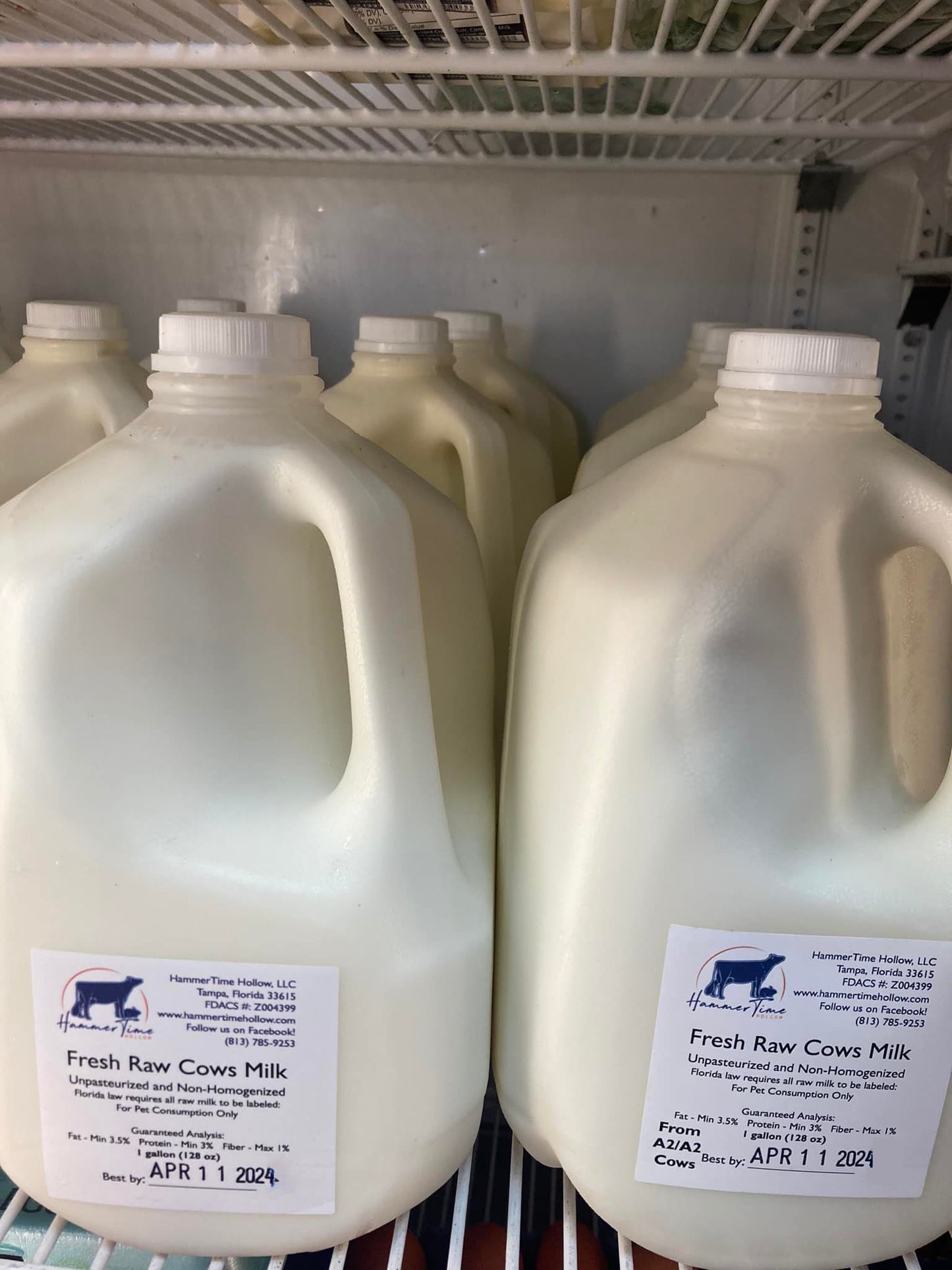 Raw Cows Whole Milk - Gallon