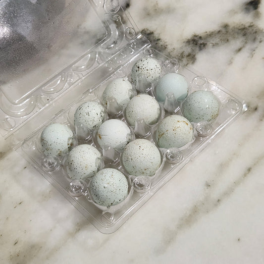 Quail Eggs - Dozen