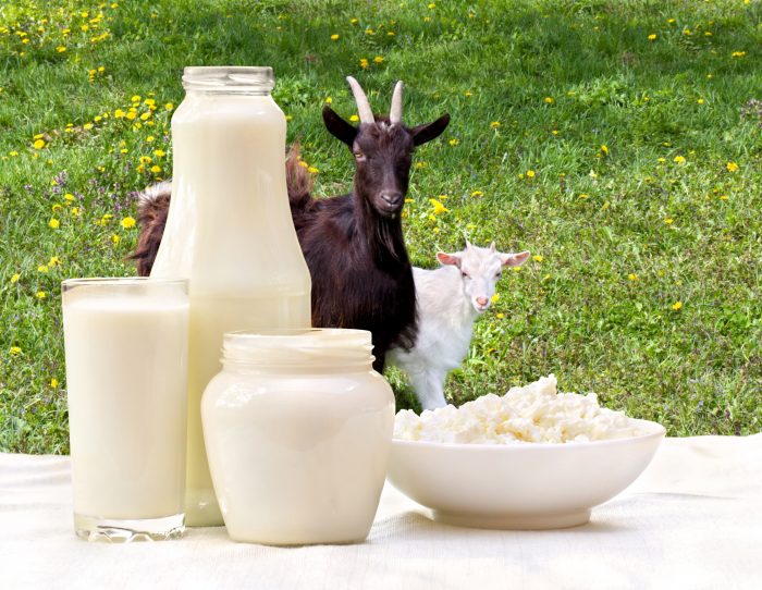 Raw Goats Milk - Gallon